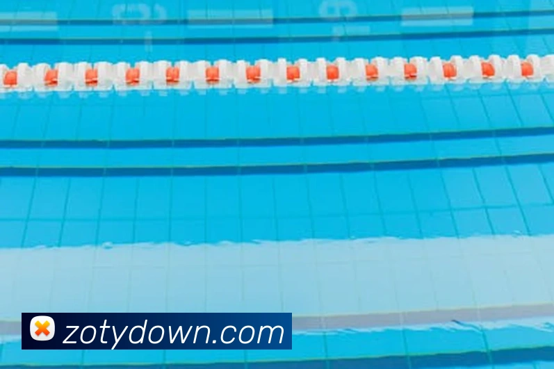 App Interface Preview